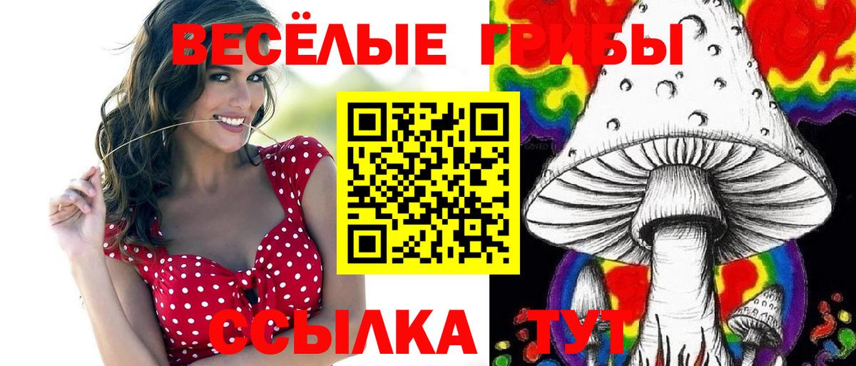 Алексин  Псилоцибиновые грибы мухоморы  Вход с VPN 